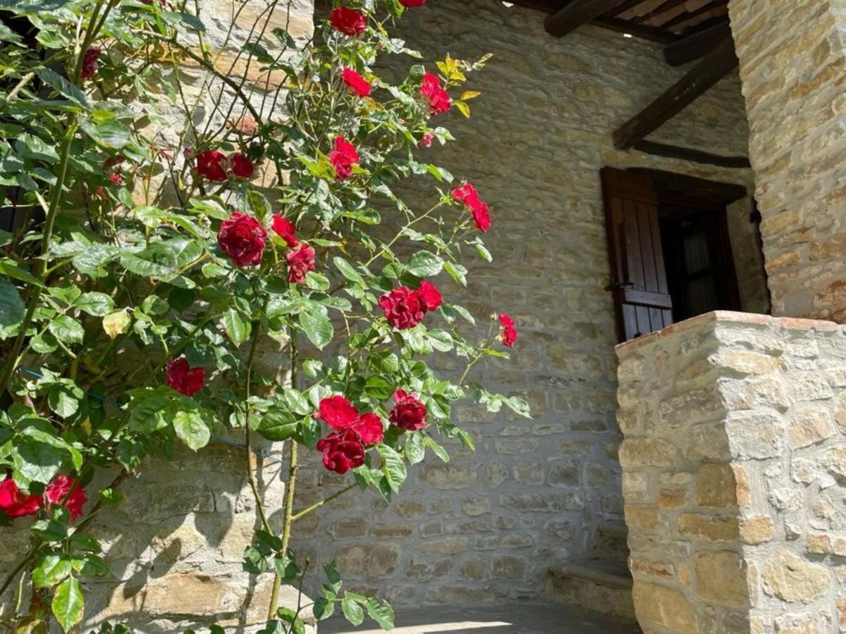 Cascina Manzoni Appartamenti Bossolasco Exteriör bild